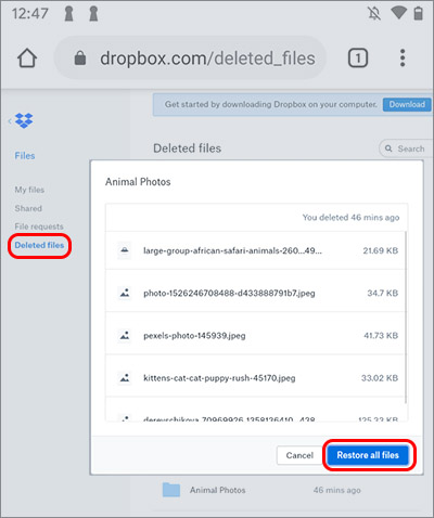 Recupera le foto delle app B612 eliminate da Dropbox