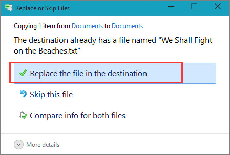 Sostituisci il file nella destinazione