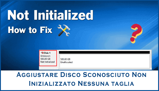 Aggiustare Disco Sconosciuto Non Inizializzato Nessuna taglia